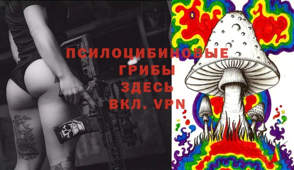 крисы Дмитров