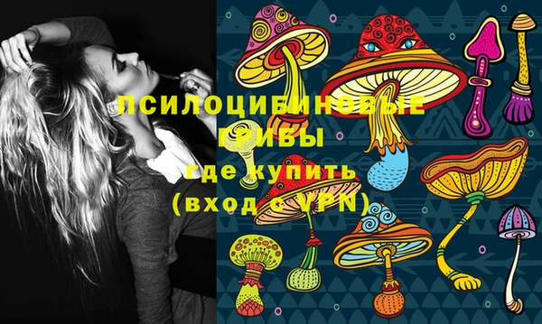 крисы Дмитров