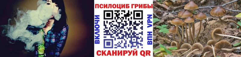Галлюциногенные грибы ЛСД  Завитинск 
